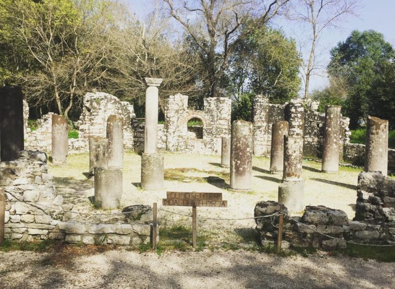 Explore the region with a local