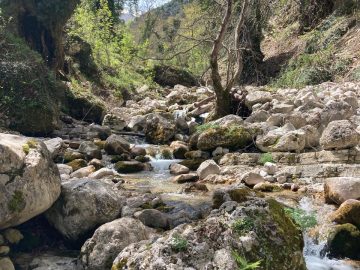 Explore the region with a local