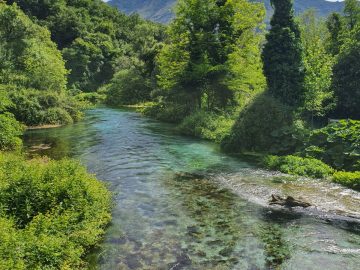 Explore the region with a local