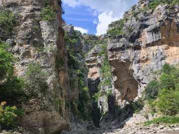 Explore the region with a local