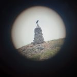 Explore the region with a local