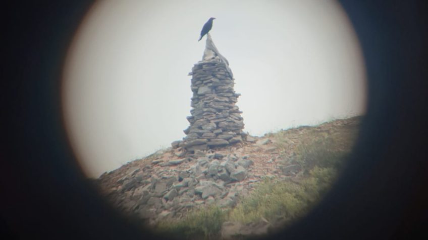 Explore the region with a local