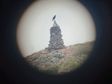 Explore the region with a local